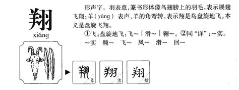 翔的意思名字|帶翔字的男孩名字怎麼取